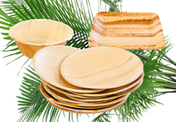 Biodegradable Sal Leaf Disposable Plates