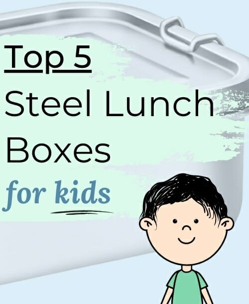 5-Unique-Stainless-Steel-Lunch-Box-for-Kids-Review