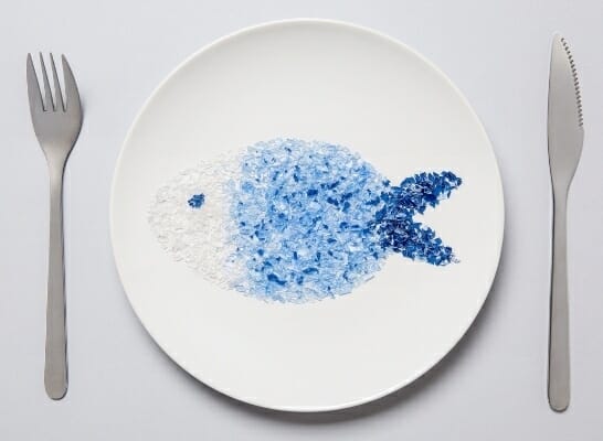 microplastic on dinner plate shaped like a fish