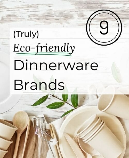 5 Favorite Sources for Design-Forward, Eco-Friendly, Disposable Tableware