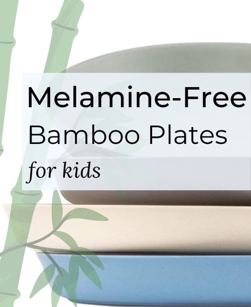 Truly-Melamine-Free-Bamboo-Kids-Plates-Top-Picks-Main